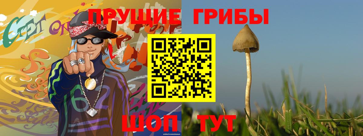Галлюциногенные грибы Magic Shrooms  Вход с VPN  Кузнецк 